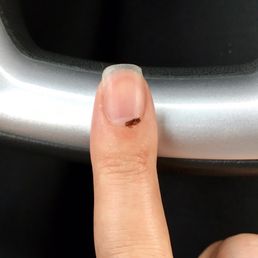 Was clipped during my manicure because the lady was sloppy and rushing the service. Was clipped during my manicure because the lady was sloppy and rushing the service.