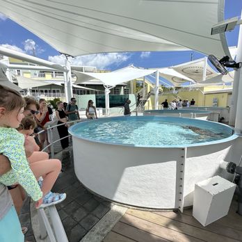 Loggerhead Marinelife Center - Community Service/Non-Profit Near Me - Juno Beach, Florida