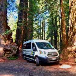 Wandervans