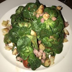 Lamm - Feldsalat mit Speck