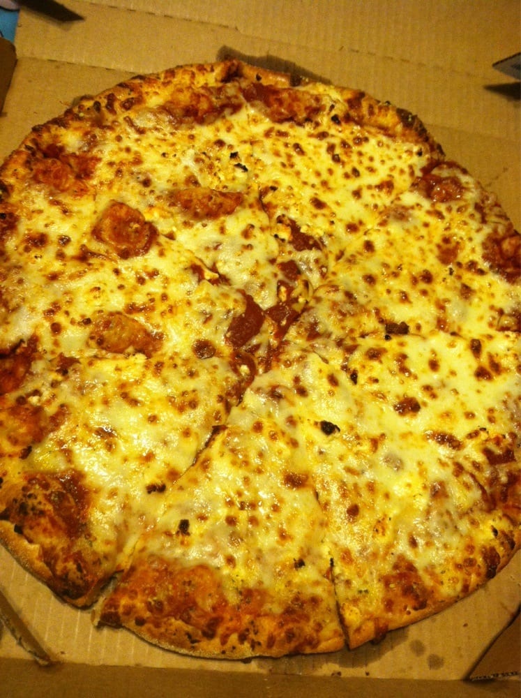 Domino's Pizza Logo