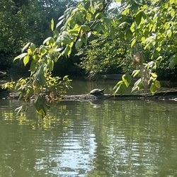 Outdoor Knoxville