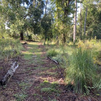 Oakland Nature Preserve - Parks Near Me - Oakland, Florida Oakland Nature Preserve - Parks Near Me - Oakland, Florida