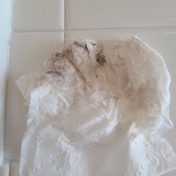 Diamond Cleaners - I wet a piece of toilet paper and this was all the dirt, dust, and hair I got from the floor behind the toilet - Home Cleaning Near Me - Seattle, Washington Diamond Cleaners - I wet a piece of toilet paper and this was all the dirt, dust, and hair I got from the floor behind the toilet - Home Cleaning Near Me - Seattle, Washington