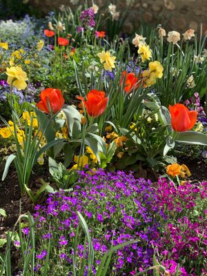 Beehive House by null