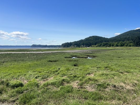 Dosewallips State Park by null