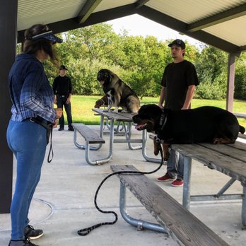 Maximum K9 Service - Off Site Level 2 Obedience in different situations with many new smells and sounds - Pet Training Near Me - Deer Park, New York Maximum K9 Service - Off Site Level 2 Obedience in different situations with many new smells and sounds - Pet Training Near Me - Deer Park, New York
