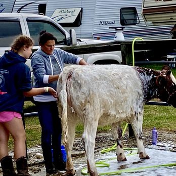 Canfield Fair - Workin' at the cow wash... Workin' at the cow wash, yeah... - Amusement Parks Near Me - Canfield, Ohio Canfield Fair - Workin' at the cow wash... Workin' at the cow wash, yeah... - Amusement Parks Near Me - Canfield, Ohio