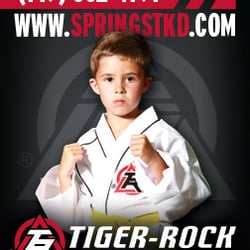 Tiger Rock Martial Arts - East Springs