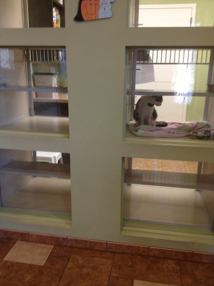 CIBOLO CANYONS VETERINARY HOSPITAL 18 Reviews 2903 Tpc Pkwy, San