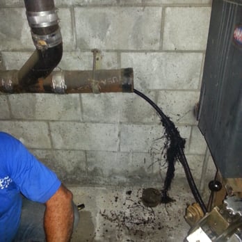 Hamlet's Plumbing - Roots that were clogging 8 unit building's main sewer line - Plumbing Near Me Hamlet's Plumbing - Roots that were clogging 8 unit building's main sewer line - Plumbing Near Me
