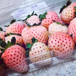 ALDI - Pink Strawberries - food - Organic Stores Near Me - Pompano Beach, Florida