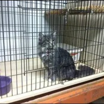 Corrales Kennel - Pet Groomers Near Me - Corrales, New Mexico Corrales Kennel - Pet Groomers Near Me - Corrales, New Mexico