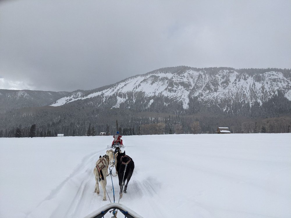 MOUNTAIN PAWS DOG SLED TOURS Updated August 2024 61 Photos & 16 Reviews Pagosa Springs