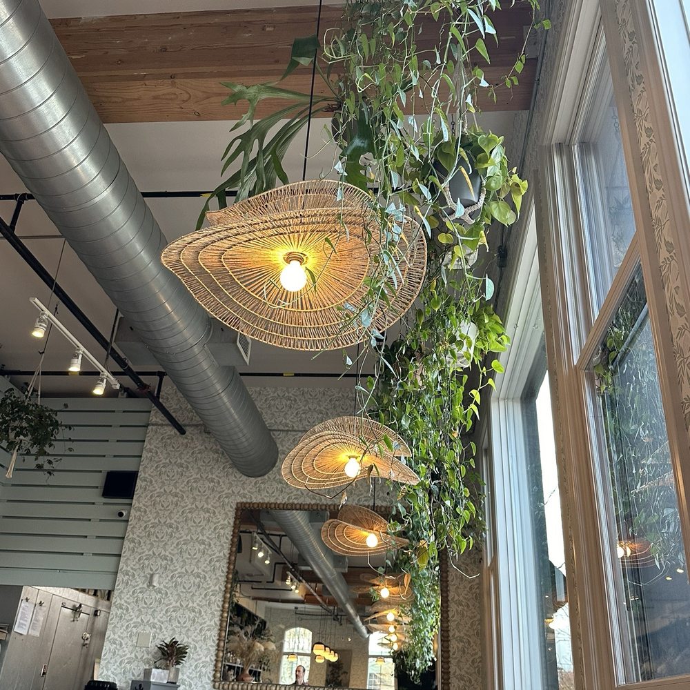 Cypress - I loved the lighting and the live plants that were all over this perfect little place. - Mediterranean Near Me - McMinnville, Oregon