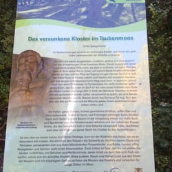 Zauberwald-Pfad