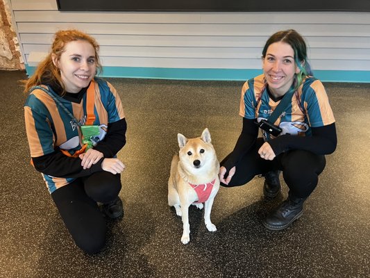 The Boozy Mutt by null