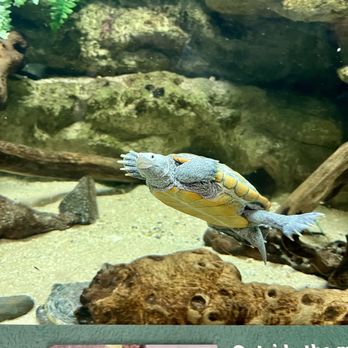 Maritime Aquarium - Aquariums Near Me - Norwalk, Connecticut Maritime Aquarium - Aquariums Near Me - Norwalk, Connecticut