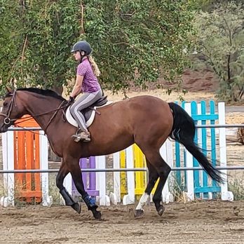 Flavin Farms - Horse Boarding Near Me - Agua Dulce, California Flavin Farms - Horse Boarding Near Me - Agua Dulce, California