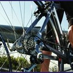 Chevin Cycles