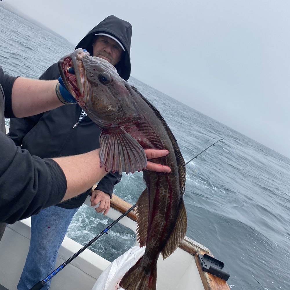 All Aboard Adventures - Fishing Near Me - Fort Bragg, California All Aboard Adventures - Fishing Near Me - Fort Bragg, California