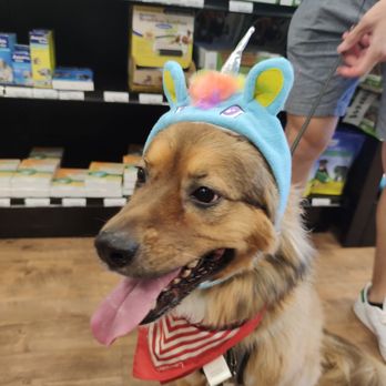 EarthWise Pet Madison - Pet Groomers Near Me - Madison, Wisconsin