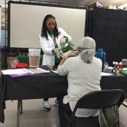 Golden Gurl Greenhouse - Explaining to student about the importance of plant transplants