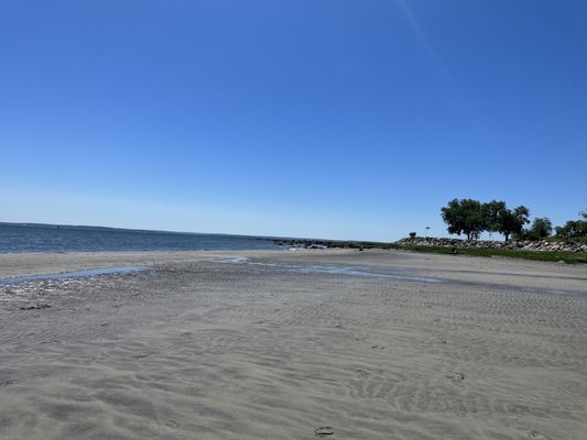 Greenwich Point Park by null