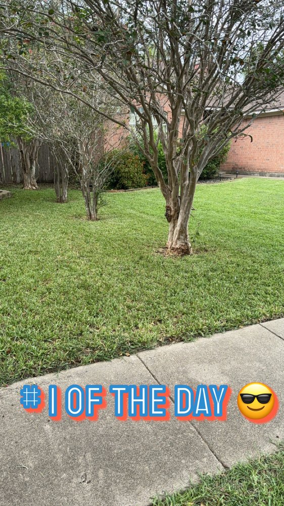 Slide of AL’s Lawn Service & Gonzalez Construction