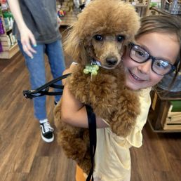 Barking Dogs Self Wash And Grooming Mesa: Pamper Your Pet