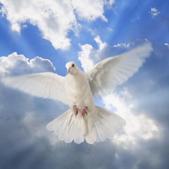 Psychic Medium Sue Swank - Psychic Mediums Near Me Psychic Medium Sue Swank - Psychic Mediums Near Me