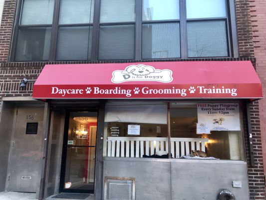 D is for Doggy - Daycare & Grooming by null