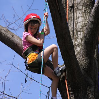 Frick Environmental Center - Camps are for children three years old through youth who have completed 7th grade. - Active Life Near Me - Pittsburgh, Pennsylvania