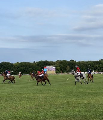 Newport Polo by null