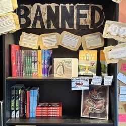 Curious Squirrel Bookshop
