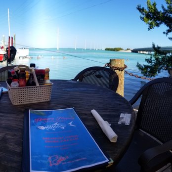 Hungry Tarpon Restaurant - The views from our table cannot be beat! Cool crispy wind and low 70's temps. Delicious day with delicious food. - Seafood Near Me - Islamorada, Florida Hungry Tarpon Restaurant - The views from our table cannot be beat! Cool crispy wind and low 70's temps. Delicious day with delicious food. - Seafood Near Me - Islamorada, Florida