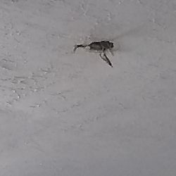 I & C Maintenance & Remodeling