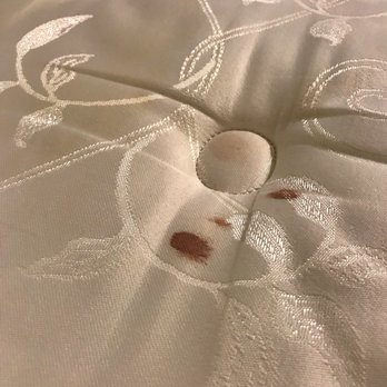 The Alexander - Blood on our mattress and other stains. Had to move my 8 month pregnant wife and I to a completely new room. - Hotels Near Me - Indianapolis, Indiana The Alexander - Blood on our mattress and other stains. Had to move my 8 month pregnant wife and I to a completely new room. - Hotels Near Me - Indianapolis, Indiana