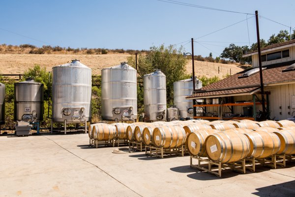 Rooted Vine Wine Tours by null