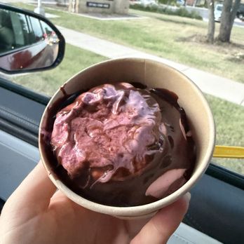 Zeds - Raspberry with chocolate syrup - Ice Cream & Frozen Yogurt Near Me - Austin, Texas Zeds - Raspberry with chocolate syrup - Ice Cream & Frozen Yogurt Near Me - Austin, Texas