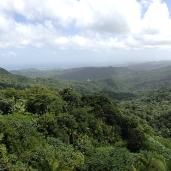 El Yunque Rainforest - View of El Yunque forest - Hiking Near Me - Luquillo, Puerto Rico El Yunque Rainforest - View of El Yunque forest - Hiking Near Me - Luquillo, Puerto Rico