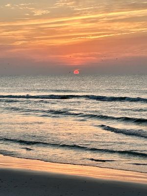 Main Beach Park by null