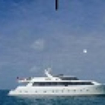 Barnacle Bed & Breakfast - Bed & Breakfast Near Me - Big Pine Key, Florida