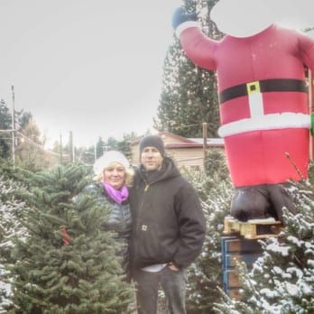 Duane's Garden Patch - Gorgeous Christmas trees! - Fruits & Veggies Near Me - Seattle, Washington