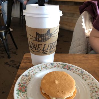 Nine Lives Cat Cafe - Matcha latte with almond milk and pumpkin spice macaron (gluten free vegan) - Coffee & Tea Near Me - Indianapolis, Indiana Nine Lives Cat Cafe - Matcha latte with almond milk and pumpkin spice macaron (gluten free vegan) - Coffee & Tea Near Me - Indianapolis, Indiana