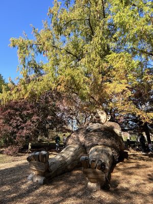 Bernheim Forest and Arboretum by null