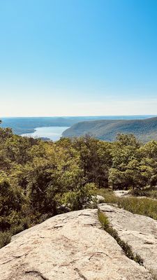 Bear Mountain by null