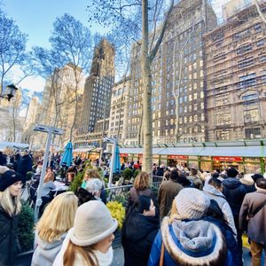 Favorite Places in New York City