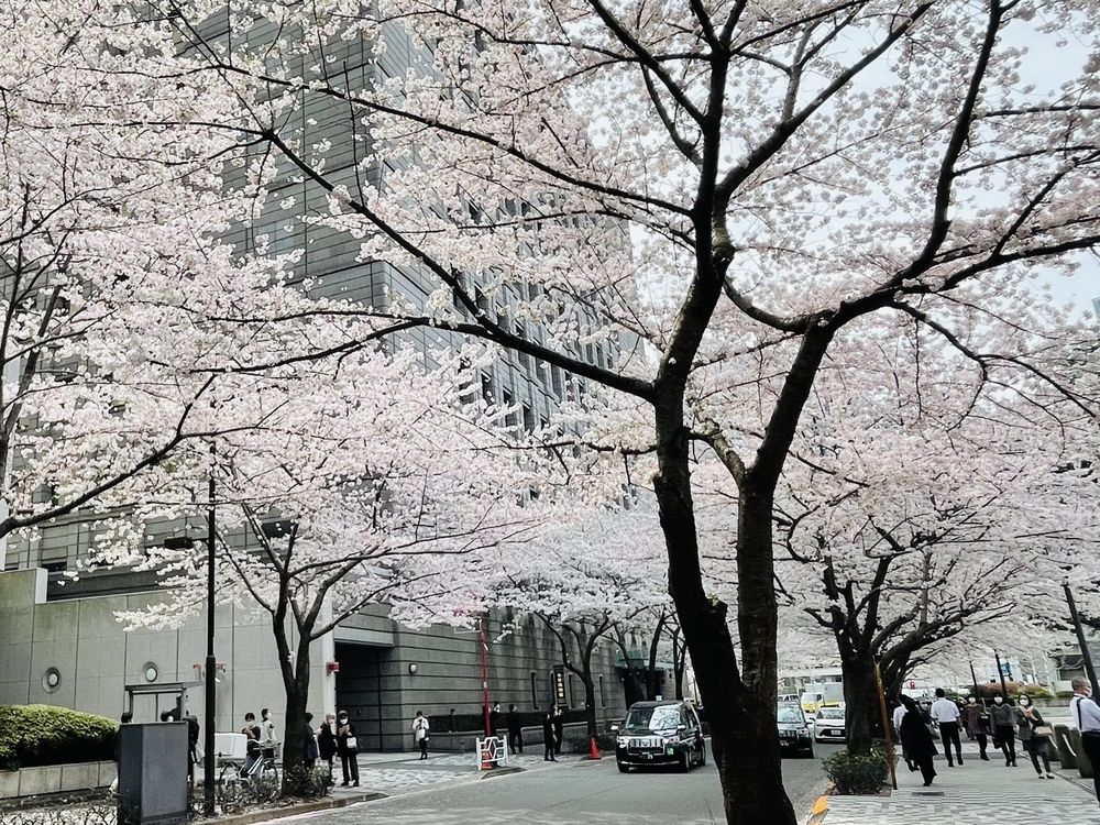 Bank of Japan Currency Museum