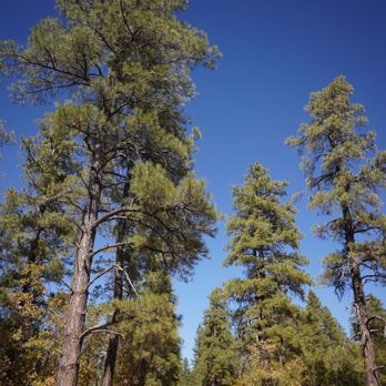 Oak Creek Canyon Overlook - Hiking Near Me - Flagstaff, Arizona Oak Creek Canyon Overlook - Hiking Near Me - Flagstaff, Arizona